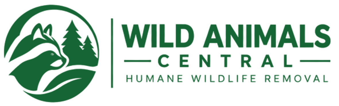 Wild Animals Central, Humane Wildlife Removal