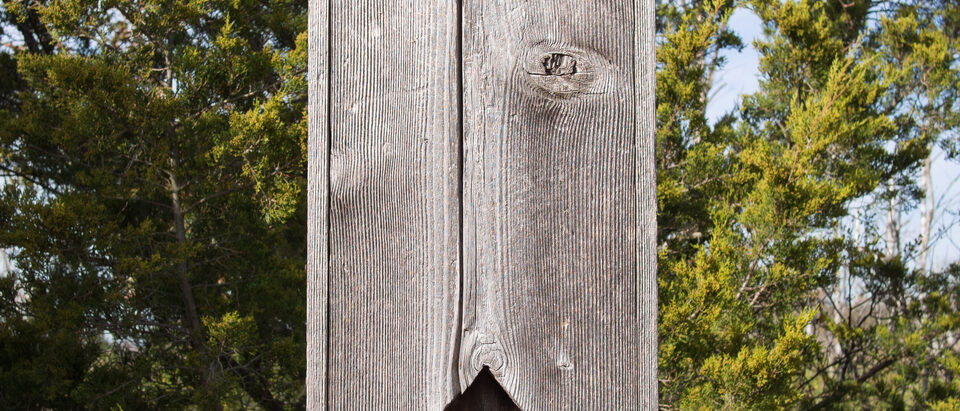 A bat box in the Jamaica Bay Wildlife Refuge. Broad Channel, Queens, New York.