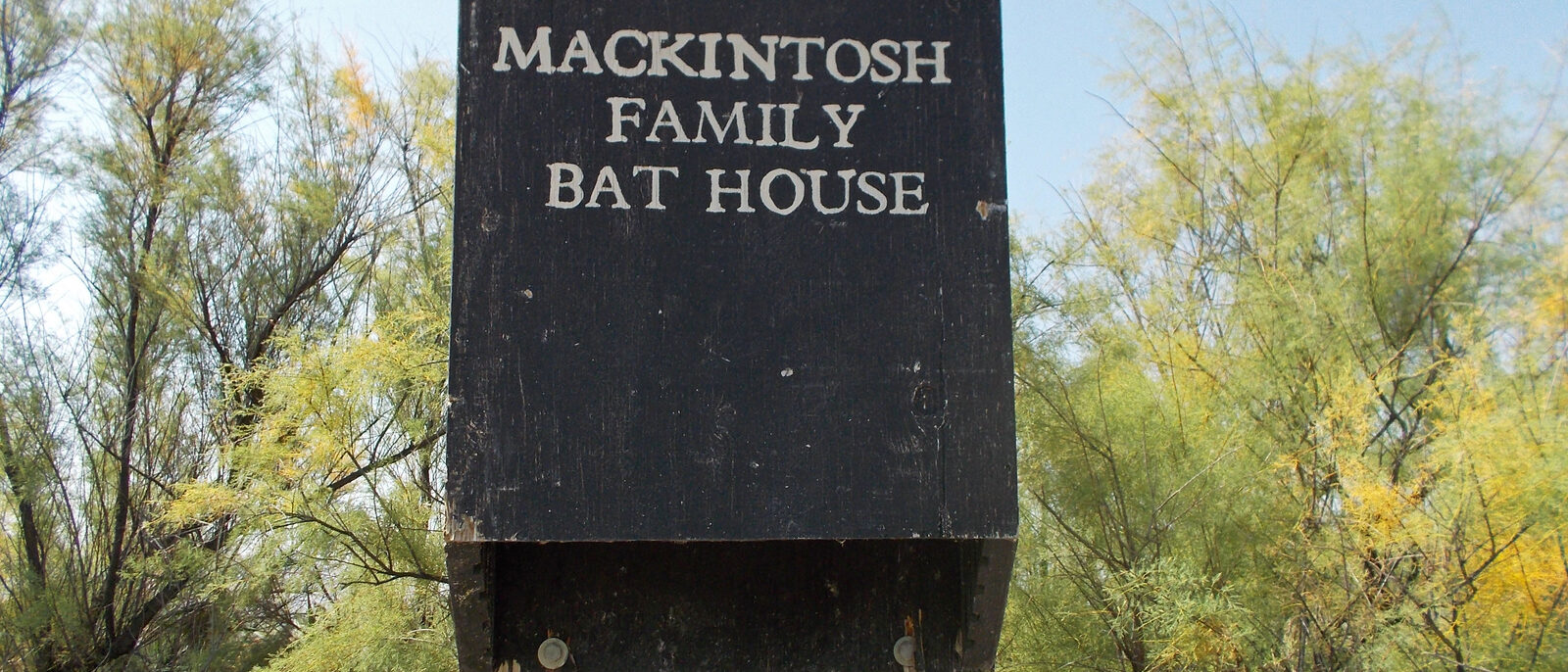 A multi-chamber wooden bat house mounted on a pole.