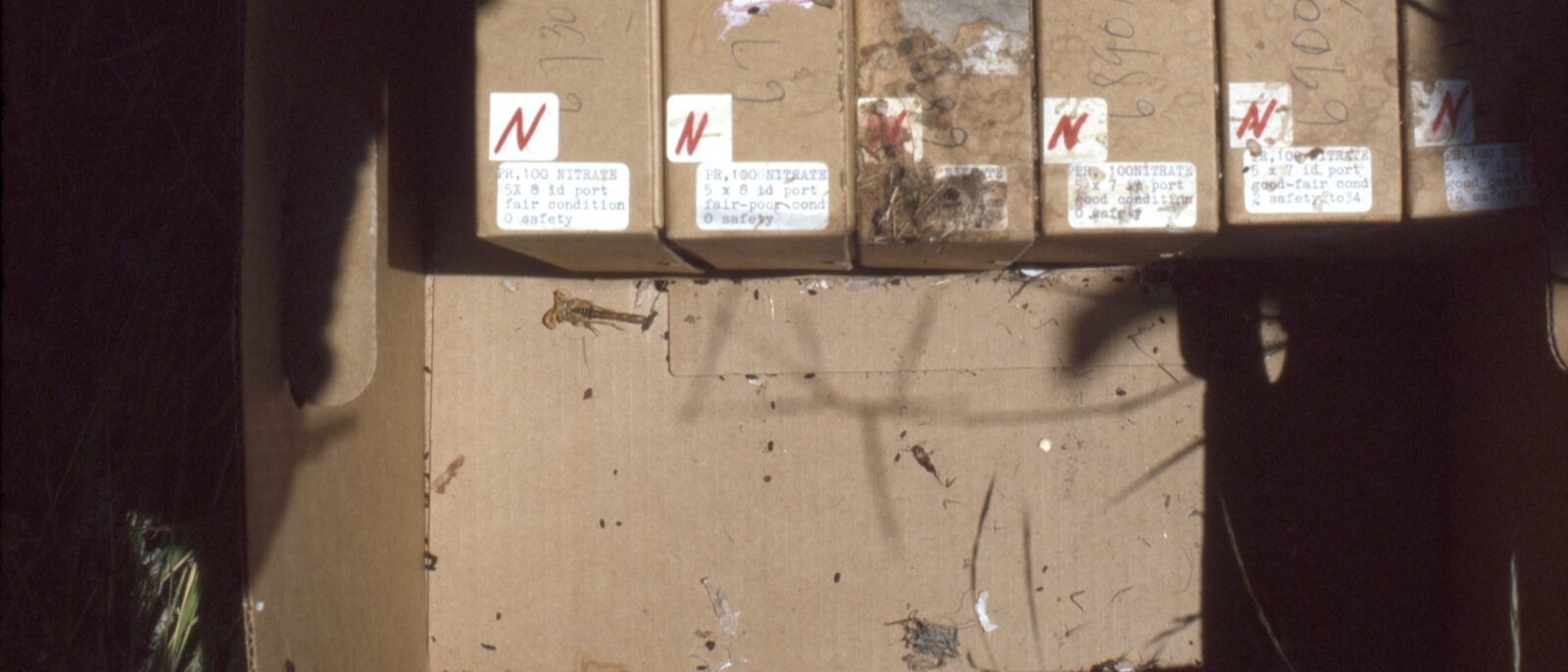 Rodent Damage
Bunker at Fort Huachuca
Arizona
Agents of deterioration

Photograp
