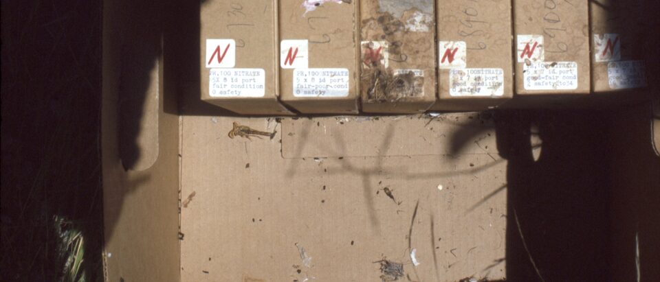 Rat and Mouse Nest Identification Guide