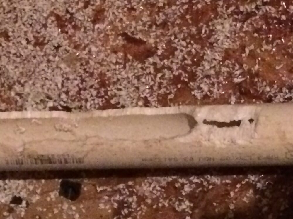 Plastic pipe chewed by a rat in a loft