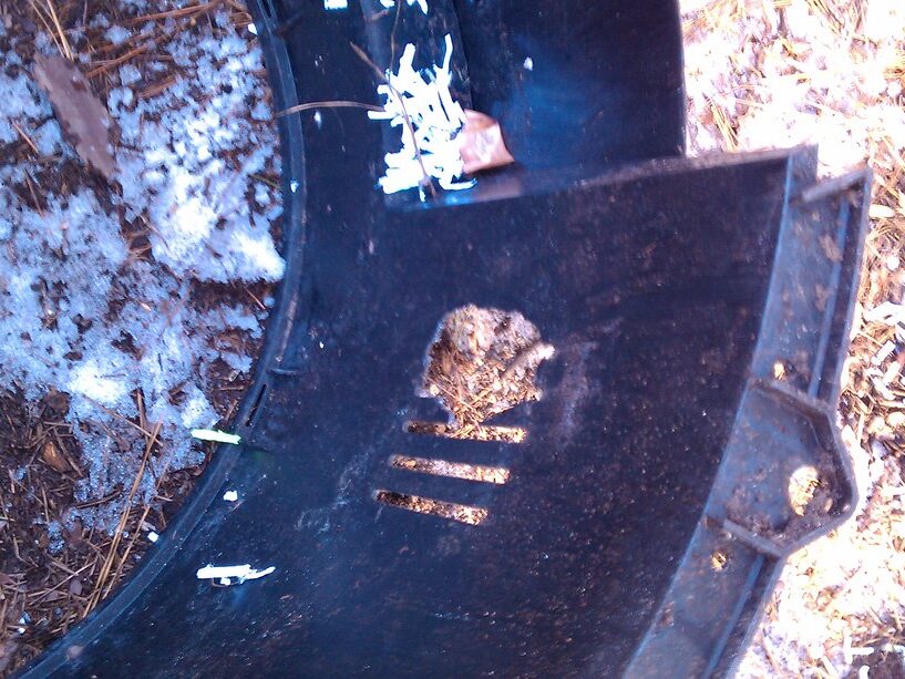 Compost bin gnawed at the base