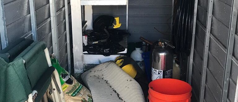Rodent droppings in a storage shed