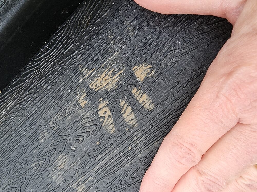 Raccoon tracks