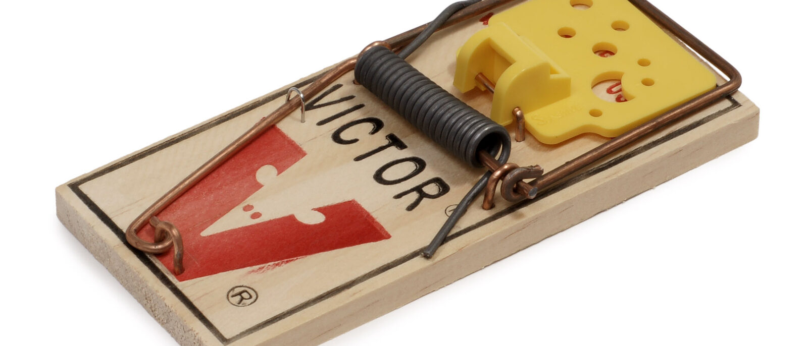 A Victor brand mousetrap.  This is unset and still has its trap bar stapled down.