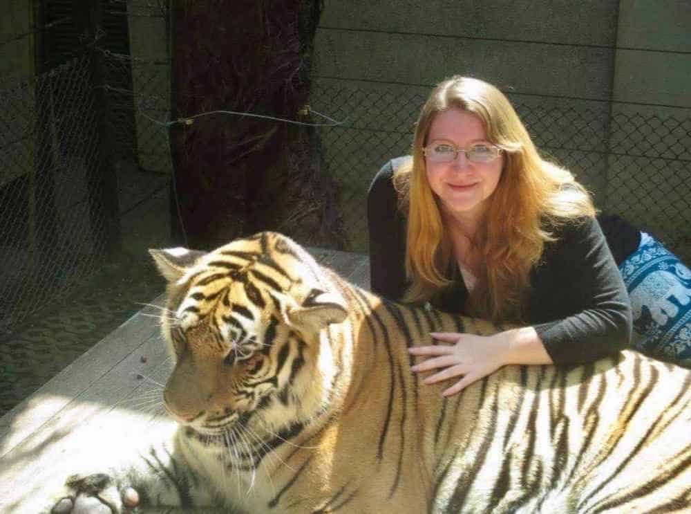 Can I train my pet tiger?