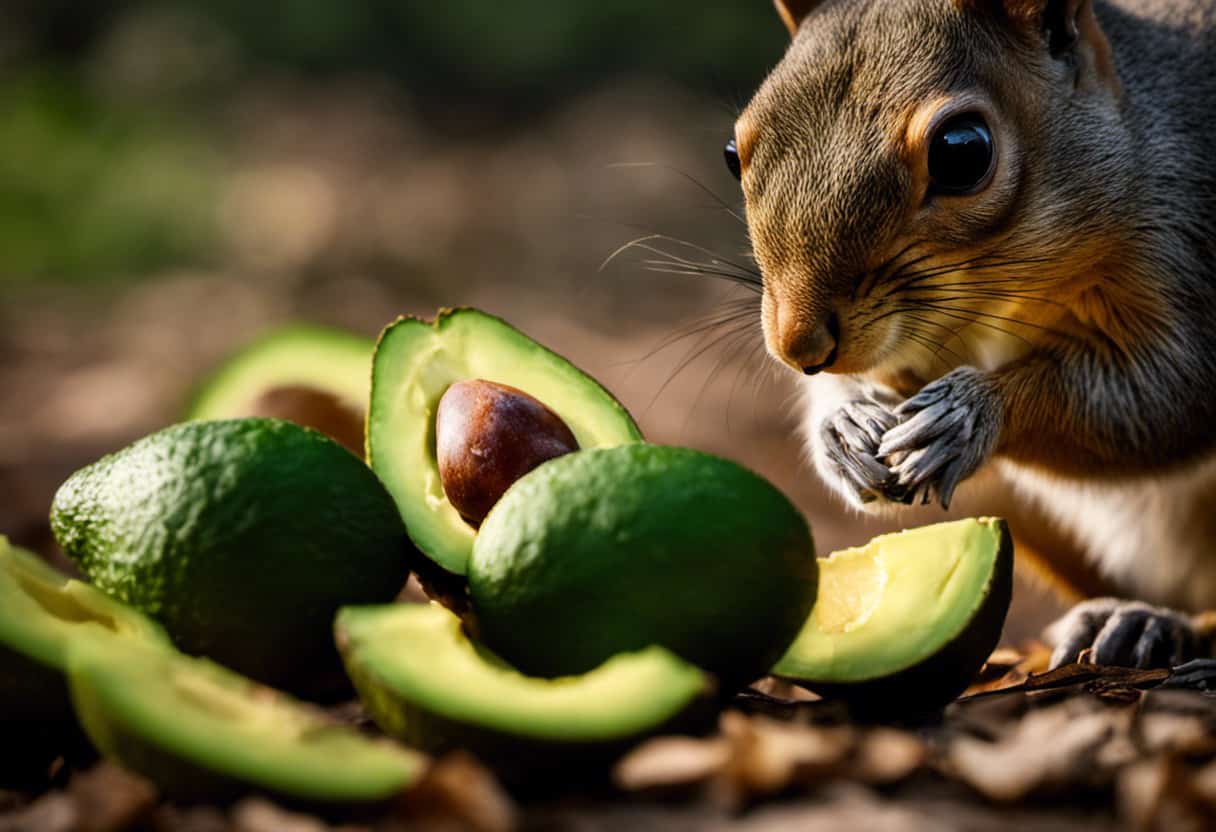 An image of a curious squirrel nibbling on an avocado pit, with a worried expression as it looks at an avocado peel nearby