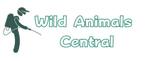 Wild Animals Central Logo