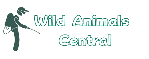 Wild Animals Central Logo