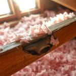 repair squirrel damaged insulation